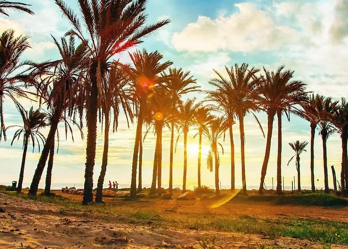 Victoria Pleamar * Torrevieja